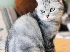 -平行世界·猫咖(首经贸店)