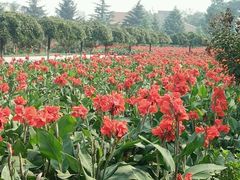 -茂陵博物馆