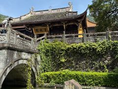 -天目山大树王景区