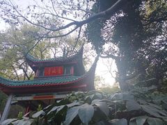 -岳麓山风景名胜区