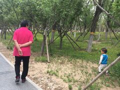 -回龙观体育文化公园