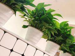 -金粿粿·牛肉粿