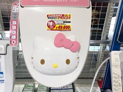 -Bic Camera (难波店)