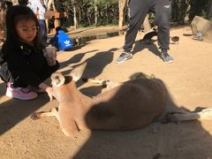 -可伦宾野生动物保护区