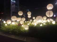 -新加坡高记KOO KEE Restaurant(盈科店)
