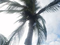 -三亚亚龙湾铂尔曼别墅度假酒店