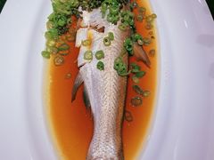 -柒厢食事雅谈
