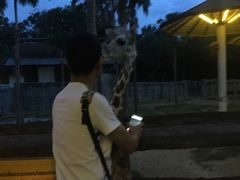 -清迈夜间动物园