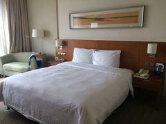 -上海浦东康桥绿地假日酒店
