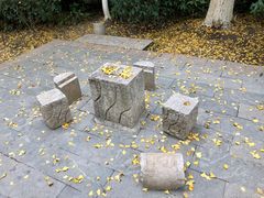 -花溪公园