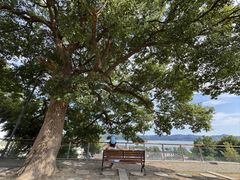 -东钱湖旅游度假区