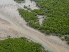 -北海金海湾红树林生态旅游区