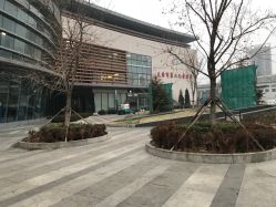 -天津市儿童医院(北辰龙岩院区)