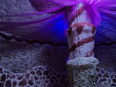 -水晶之星洗浴温泉汗蒸