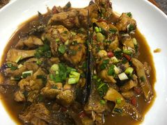 -全乐鱼馆·淳牌有机鱼直营店