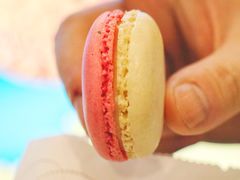 -Paul Lafayet(K11 Art Mall店)