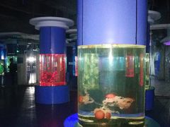 -重庆欢乐海底世界