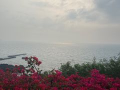 -涠洲岛火山国家地质公园