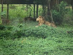 -海南热带野生动植物园