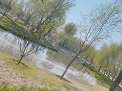 -东郊湿地公园