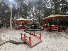 -二荆条·蜀鲜汇城市森林火锅