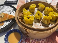 -点都德·毕德寮
