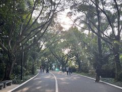 -南宁南湖公园