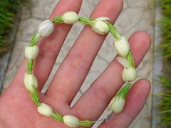 结账处有送的小花圈-苏州环秀晓筑养生度假村