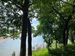 -水濂山森林公园