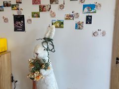 -猫腻·猫咖·撸猫馆(星光大道店)