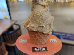 -野人先生现做冰淇淋(北京环宇荟店)