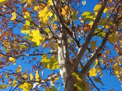 -天津东丽湖风景区