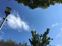 -暨阳湖生态园