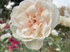 -人民公园(罗湖区)