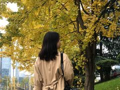 -百林公园-两江幸福广场