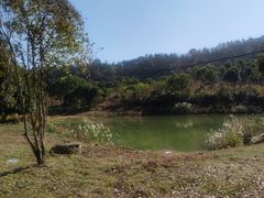 -青龙山国家森林公园