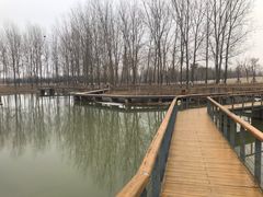 -东郊湿地公园