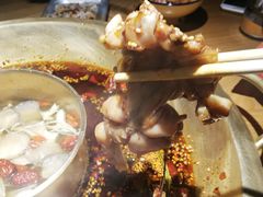 -同蛙阁美蛙鱼头火锅