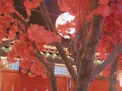 -探花·意境江南菜·唐伯虎文化体验店·松鼠桂鱼(观前店)