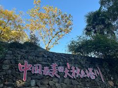-塔川景区