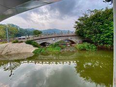 -银湖山郊野公园-相思林