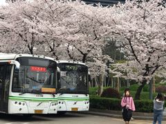 -上海南浦大桥长途旅游客运站