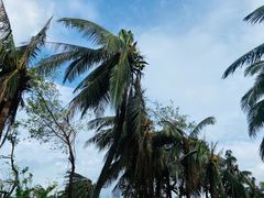 -白沙门生态公园