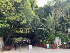 -西双版纳原始森林公园