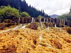 -黄龙山原始森林景区