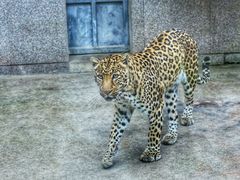 -西安秦岭野生动物园