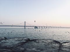 -星海广场