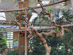 -南宫五洲植物乐园