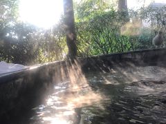 -杭州第一世界大酒店·云曼温泉