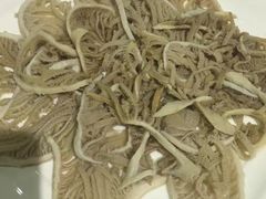 -蜀九香火锅(九眼桥店)
